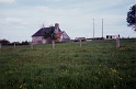 20010529 LE BOSQUET 08